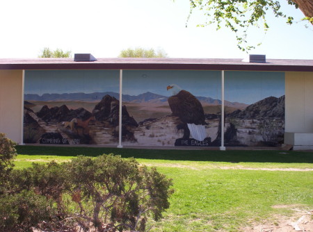 48x14 ft. Wall Mural (my art) on Hwy 247 in Lucerne Vlly