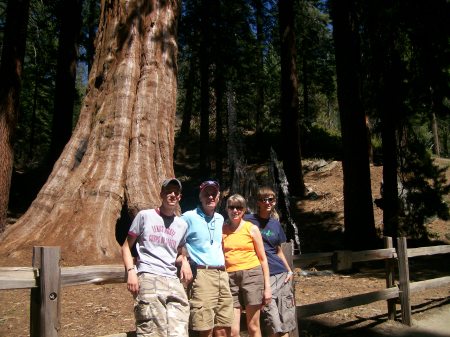 Family at Sequoia Nat'l Park