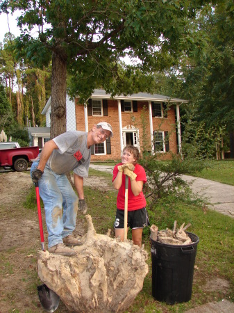 Stump #1 - Job Done!