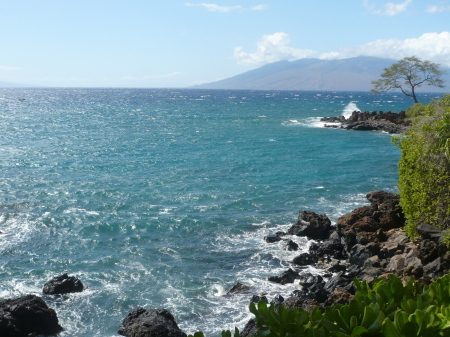 Maui 2010