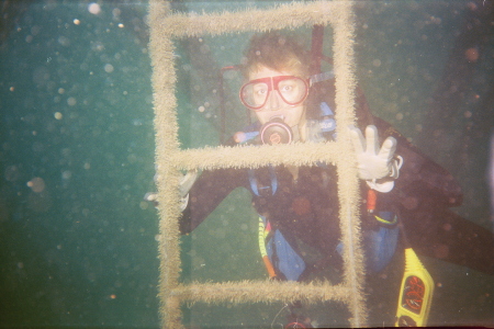 Diving in Southwest Florida