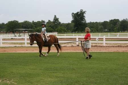 Lunging on Little Bit