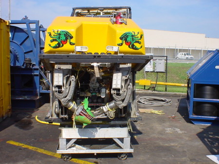 THIS IS A ROV