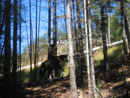 Daughter number 2 on our trails