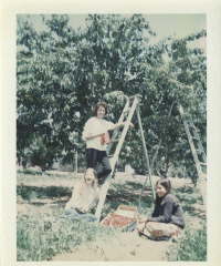 Helen Gonzales an I, cherry pickin in 1970