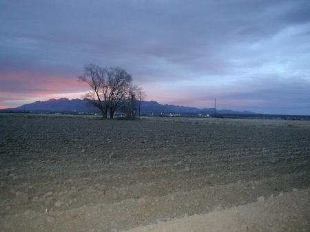 View from my front porch. La Mesa, NM.