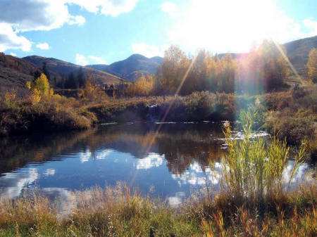 Pond on the 8000 foot trail