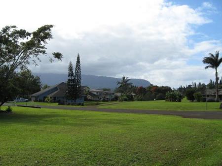 view from the frontyard