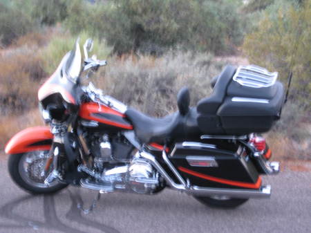 2007 rare HD Buzzy's Ride.
