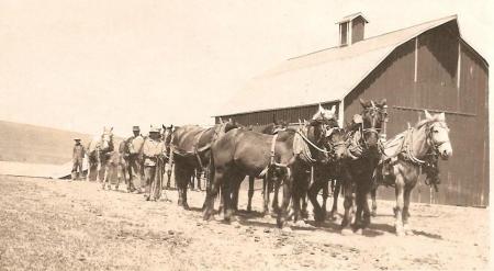 Wendlandt Farmers Reardon Washington