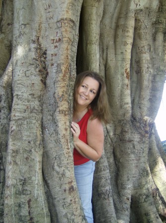 Hiding in a tree in St. Pete (2007)