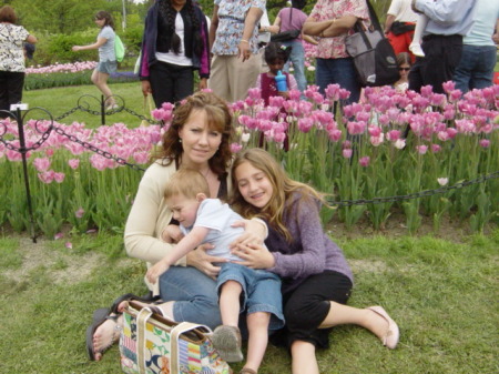 2008 Tulip Festival in Albany