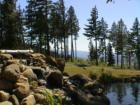 The "Pond" on my sister's land