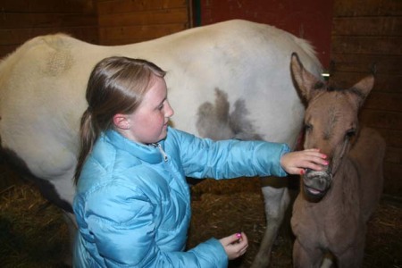 Annaliese gives a pet