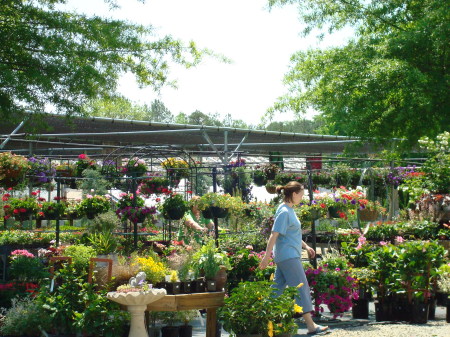 Garden Center