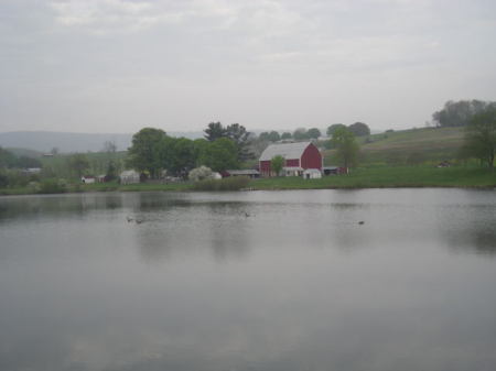 Another shot of the pond