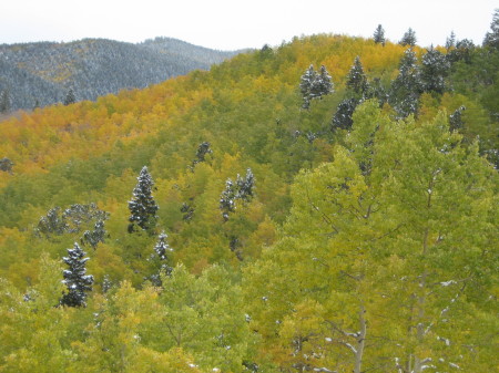 Colorado Fall