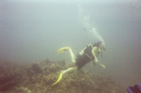 Diving in the Pacific