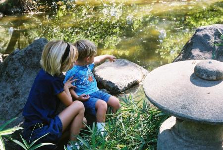 The Japanese Gardens at Mickie Grove