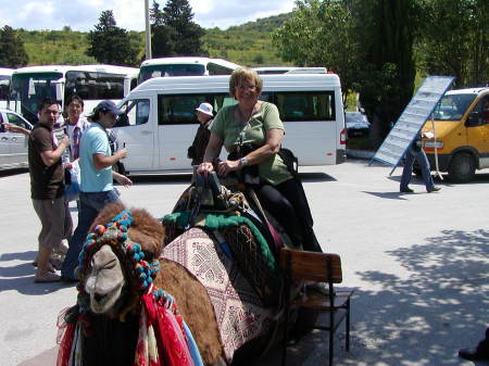 On camel in Ephesus,Turkey