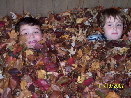 Brock 6 and Dalton 4 In the Leaves