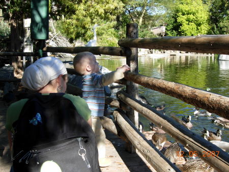 Feeding Ducks