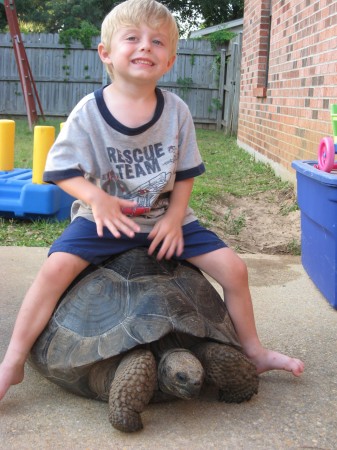 Gavin on Cuff one of our Galapago's Tortoises