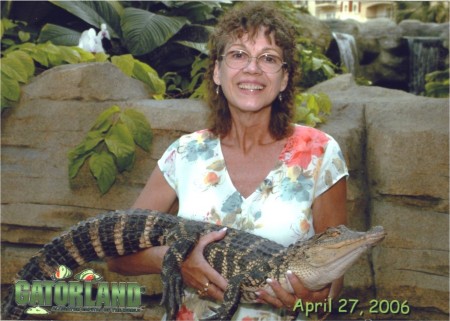 Alligator Cove at Gaylord Palms Resort in FL