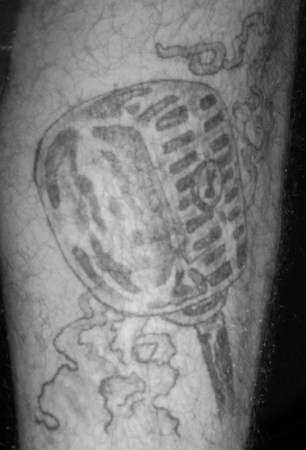 my self tatto on my own leg.