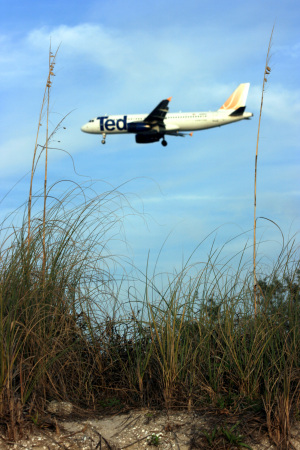 Tampa International Airport by the beach