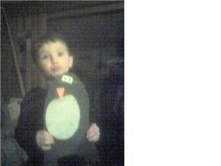 colin and  penguin