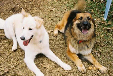 Laika and Jonah, Alabama, 2006