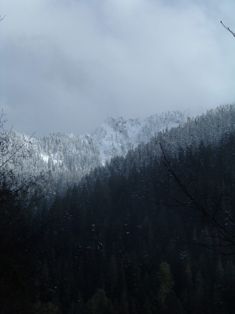 Hike in Olympic National Park (2005)