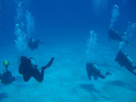 Cozumel 2007