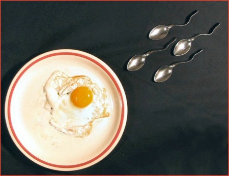 egg sperm