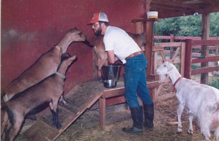 Gary milking our goats...1985