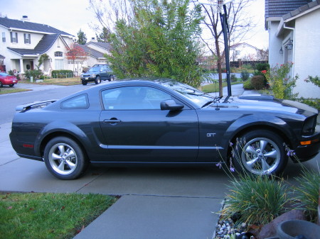 Leslie's Muscle Car ('08 Mustang GT)