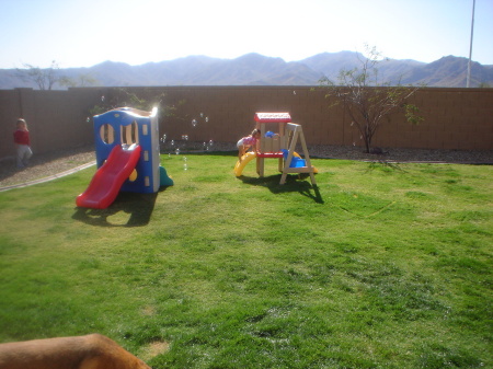 Mallory and Morgan in the back yard, AZ.