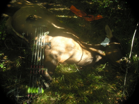 Sept. 2007 Elk Bow Hunt