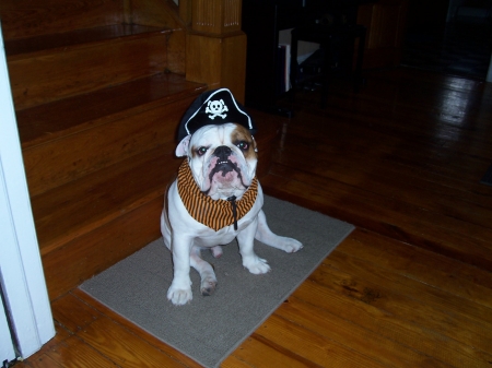 Capt. Duke at Halloween