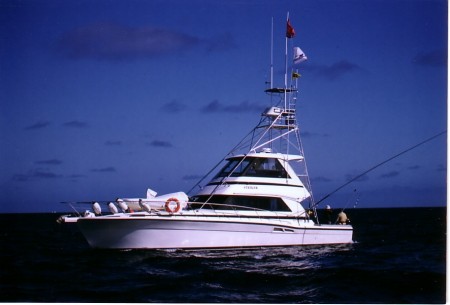 Striker based in Russell, Bay of Islands.