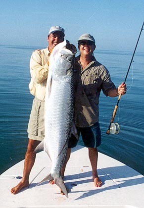 Florida tarpon