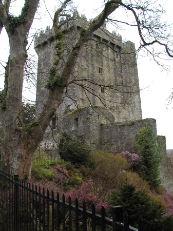 Blarney Castle in Ireland - 2005