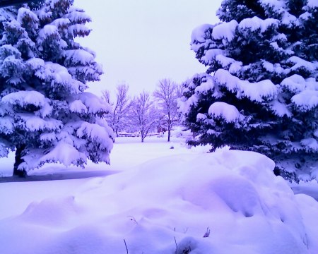 My house - Colorado Snowstorm Christmas 2006