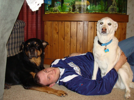 Darrell and the dogs