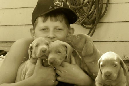 Kelyn and our puppies