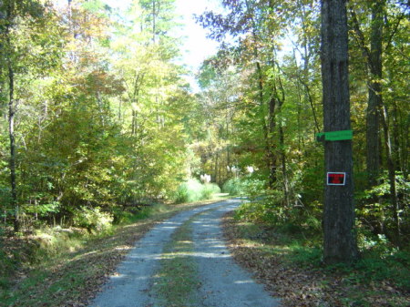 More of my driveway in the country