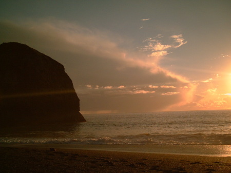 Goat Rock State Beach