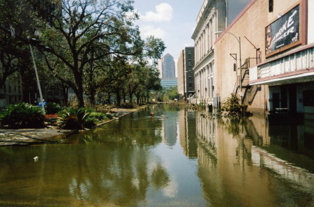 Elk & Canal Streets in New Orleans