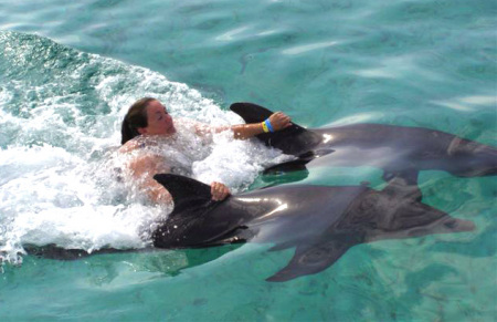 Me & the Dolphins